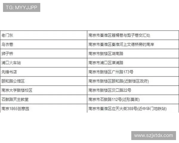 南京羽毛球队在杯赛中的团队协作表现分析与启示
