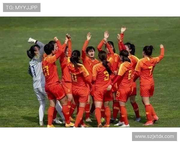 成都排球队的默契配合与战术分析探讨